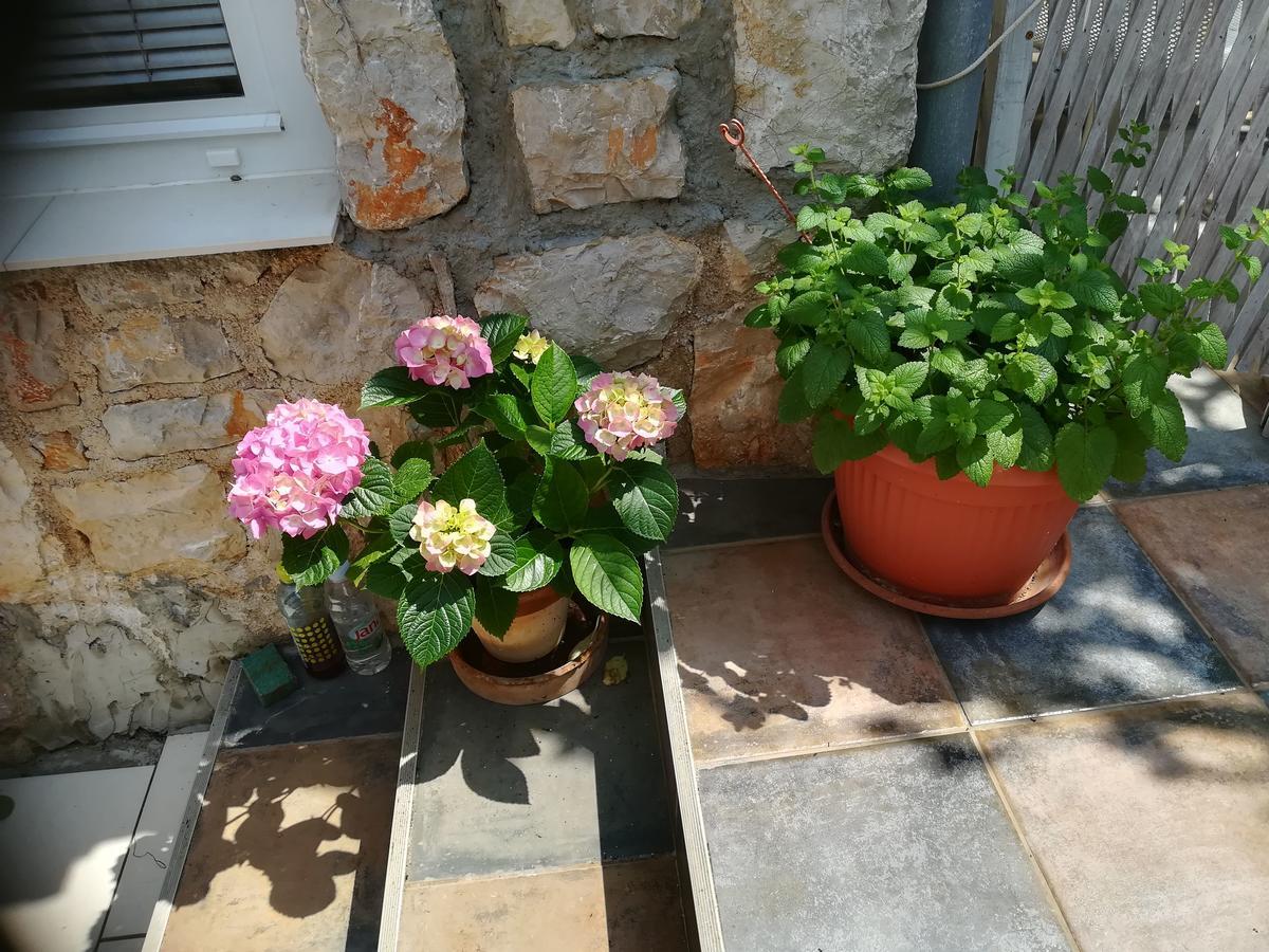 Apartment Neno - Terrace & Parking Veli Lošinj Extérieur photo