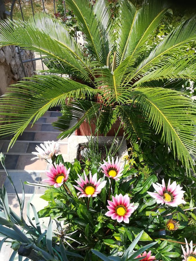 Apartment Neno - Terrace & Parking Veli Lošinj Extérieur photo